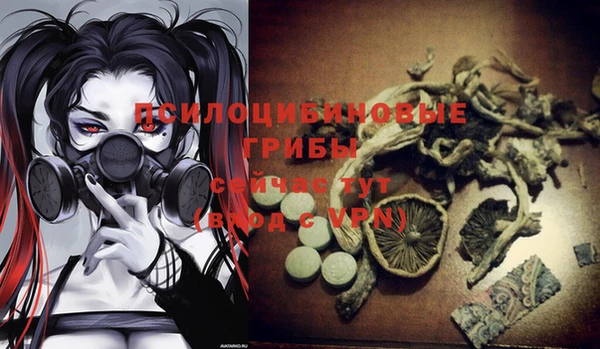 бошки Медногорск