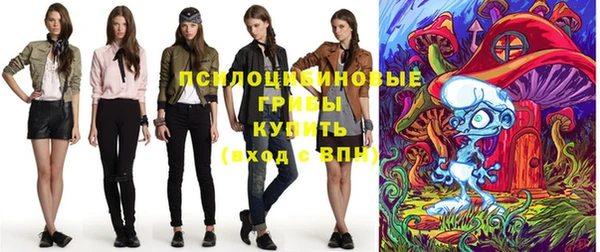 бошки Медногорск