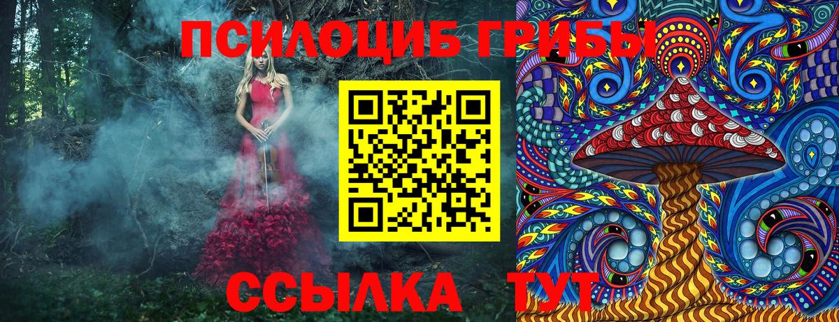 Псилоцибиновые грибы Psilocybine cubensis  Вход с VPN  Георгиевск 